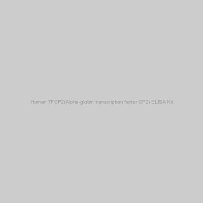 FN Test - Human TFCP2(Alpha-globin transcription factor CP2) ELISA Kit